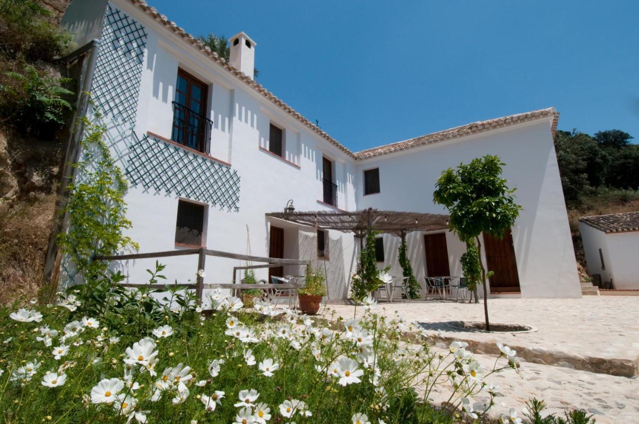 El Granero At Molino La Ratonera Apartment Zagra Exterior photo